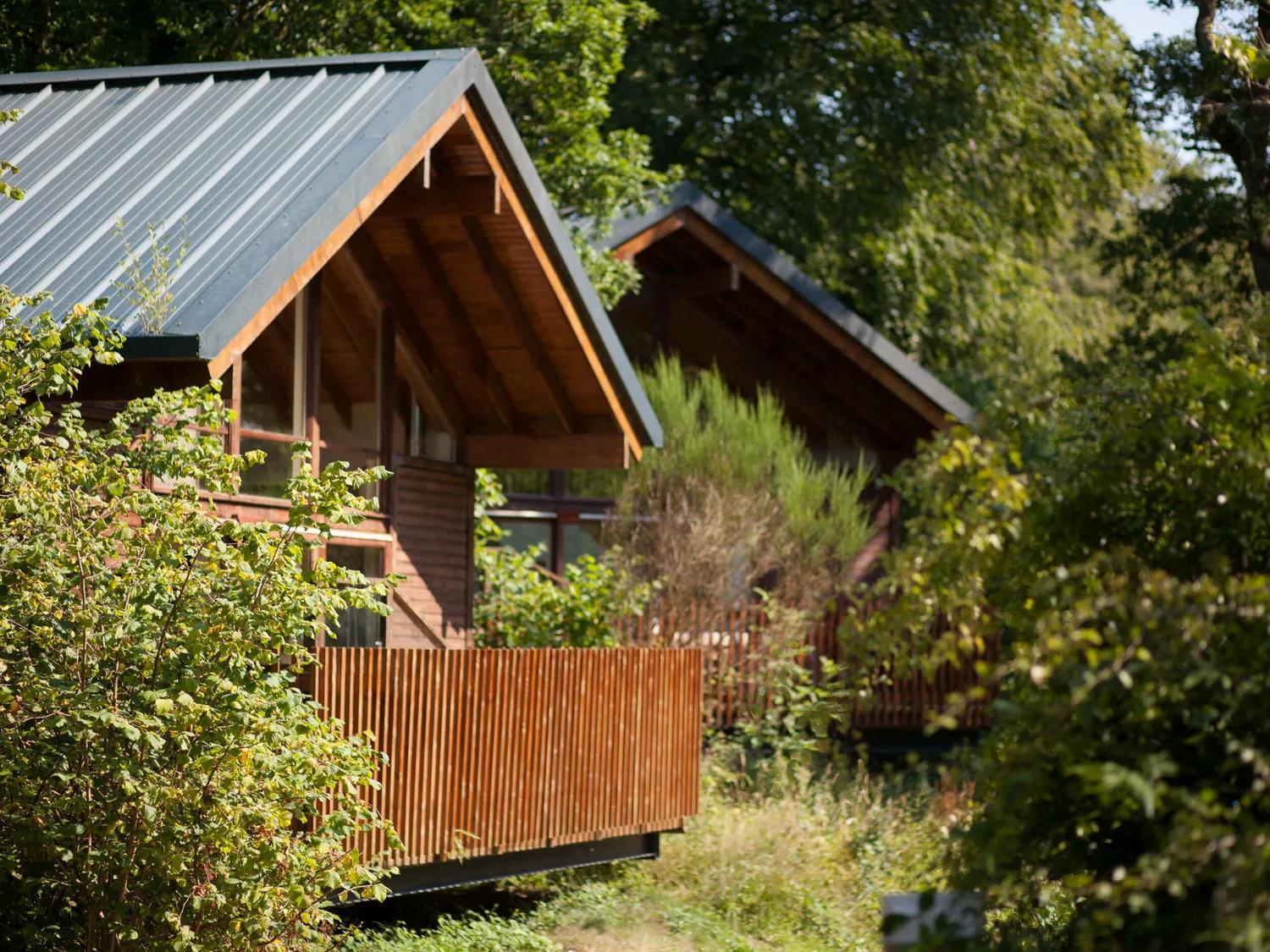 Deerpark Cabins, Cornwall - Forest Holidays Liskeard Exteriör bild